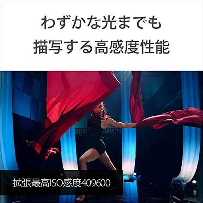 SONY α7S III Mirrorless Digital Camera Body (ILCE-7SM3) - Full-Frame